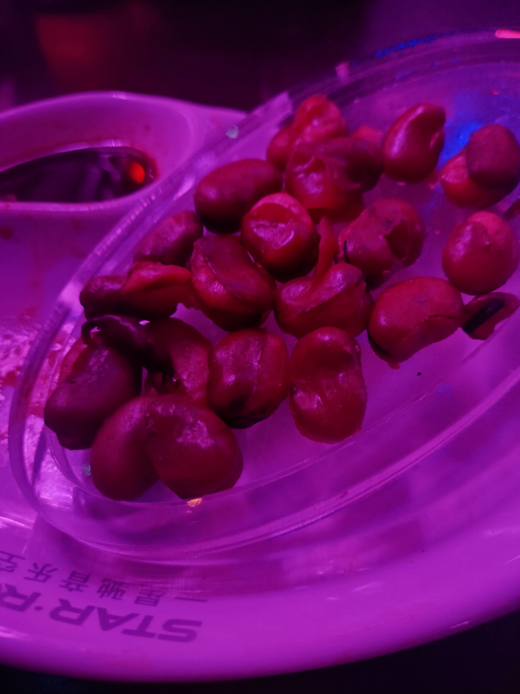 商务ktv夜场酒泉夜场-金塔县ktv预定